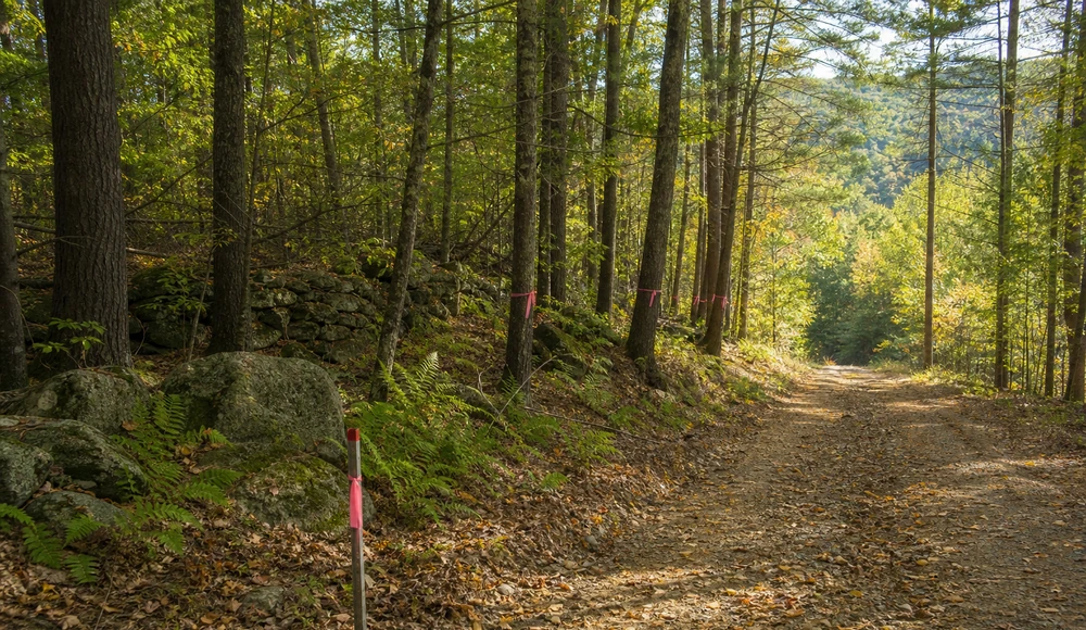 How to Sell Land Without a Realtor in New Hampshire land sale review