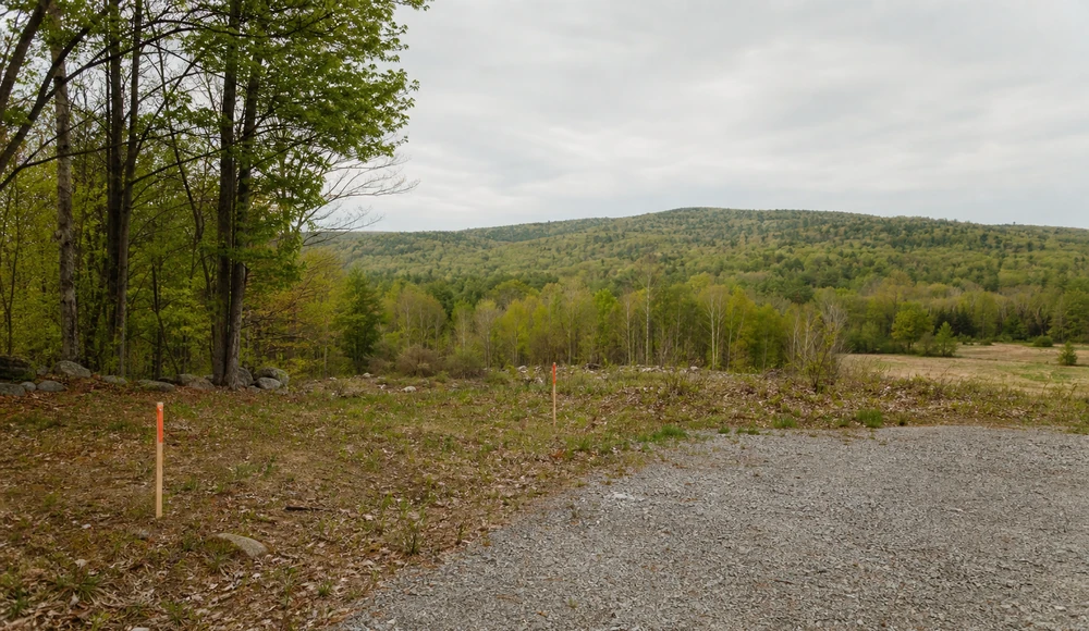 Tax on Selling Land in New Hampshire land sale review