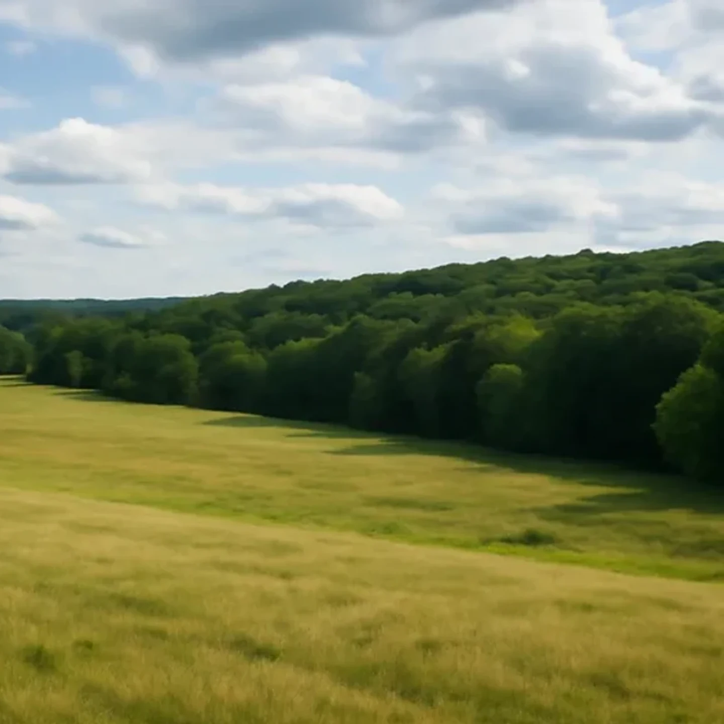 Berlin vacant land, wooded acreage, and rural parcels in New Hampshire